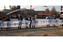 宝兴融资清欠服务